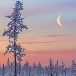 调教母狗吞精在线
